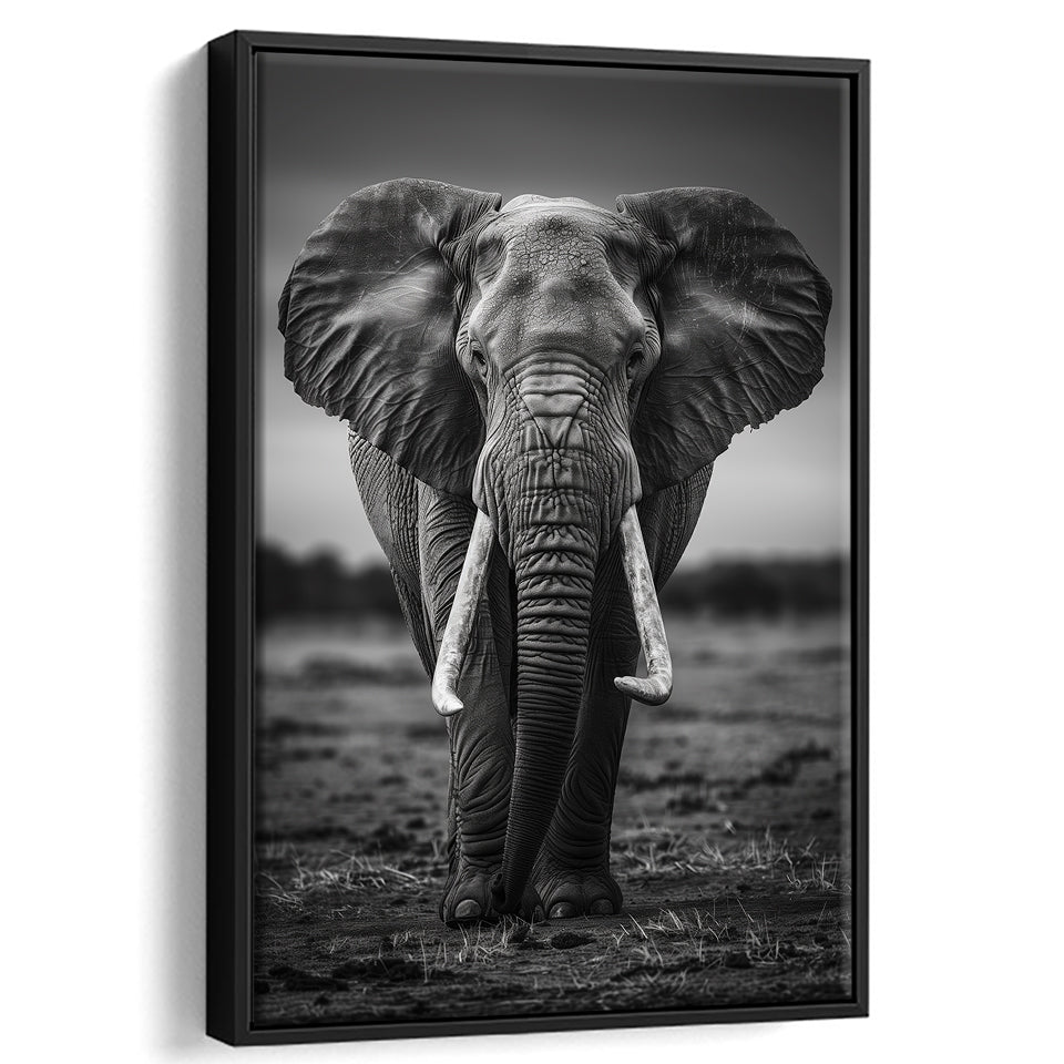 Elephant Portrait Black And White V2, Framed Canvas Prints Wall Art Decor, Floarting Frame Painting Canvas Art