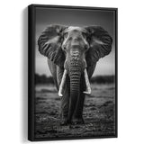 Elephant Portrait Black And White V2, Framed Canvas Prints Wall Art Decor, Floarting Frame Painting Canvas Art