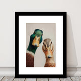 Funny Duck Art Print, Mallard Pair Portrait, Animal Wall Art, Funny Art, Framed Art Print White Border