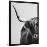 Highland Cow With Longhorn Portrait Half Of Face V1, Framed Art Print Wall Decor, Framed Picture
