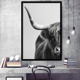 Highland Cow With Longhorn Portrait Half Of Face V1, Framed Art Print Wall Decor, Framed Picture