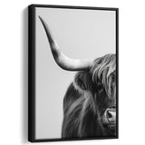 Highland Cow With Longhorn Portrait Half Of Face V1, Framed Canvas Painting, Framed Canvas Prints Wall Art Decor