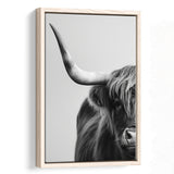 Highland Cow With Longhorn Portrait Half Of Face V1, Framed Canvas Painting, Framed Canvas Prints Wall Art Decor
