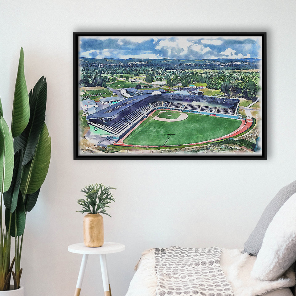 Howard J. Lamade Stadium WaterColor Framed Canvas Prints, Pennsylvania Baseball Watercolor, Stadium Art Gifts, Floating Frame