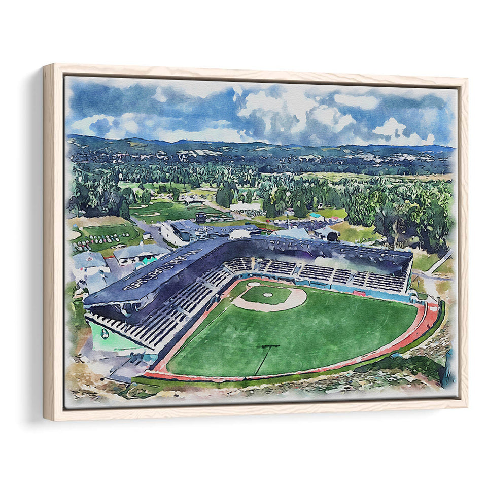 Howard J. Lamade Stadium WaterColor Framed Canvas Prints, Pennsylvania Baseball Watercolor, Stadium Art Gifts, Floating Frame
