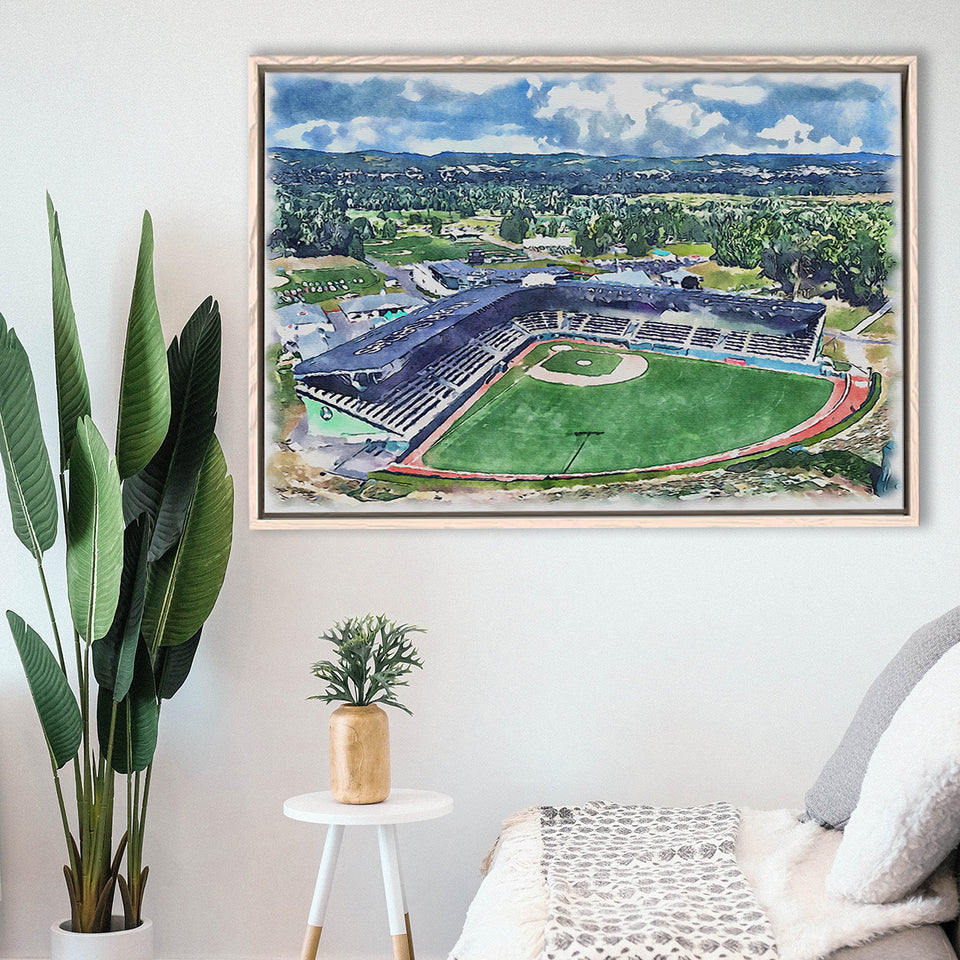 Howard J. Lamade Stadium WaterColor Framed Canvas Prints, Pennsylvania Baseball Watercolor, Stadium Art Gifts, Floating Frame