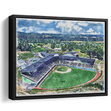 Howard J. Lamade Stadium WaterColor Framed Canvas Prints, Pennsylvania Baseball Watercolor, Stadium Art Gifts, Floating Frame