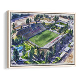 Joe Albi Stadium WaterColor Framed Canvas Prints, Spokane Washington Watercolor, Stadium Art Gifts, Floating Frame