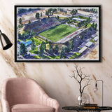 Joe Albi Stadium WaterColor Framed Canvas Prints, Spokane Washington Watercolor, Stadium Art Gifts, Floating Frame