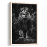 Lion King Portrait Black And White V10, Framed Canvas Prints Wall Art Decor, Floarting Frame Painting Canvas Art