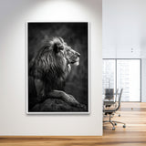 Lion King Portrait Black And White V9, Framed Canvas Prints Wall Art Decor, Floarting Frame Painting Canvas Art