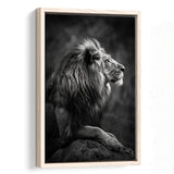 Lion King Portrait Black And White V9, Framed Canvas Prints Wall Art Decor, Floarting Frame Painting Canvas Art