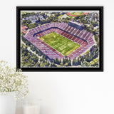 Malone Stadium WaterColor Framed Canvas Prints, Monroe Louisiana Watercolor, Stadium Art Gifts, Floating Frame