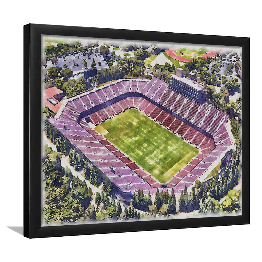 Malone Stadium WaterColor Framed Art Prints, Monroe Louisiana Watercolor, Stadium Art Gifts
