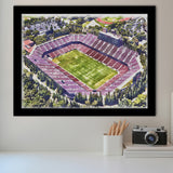 Malone Stadium WaterColor Framed Art Prints, Monroe Louisiana Watercolor, Stadium Art Gifts