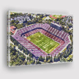 Malone Stadium WaterColor Canvas Prints, Monroe Louisiana Watercolor, Stadium Art Gifts
