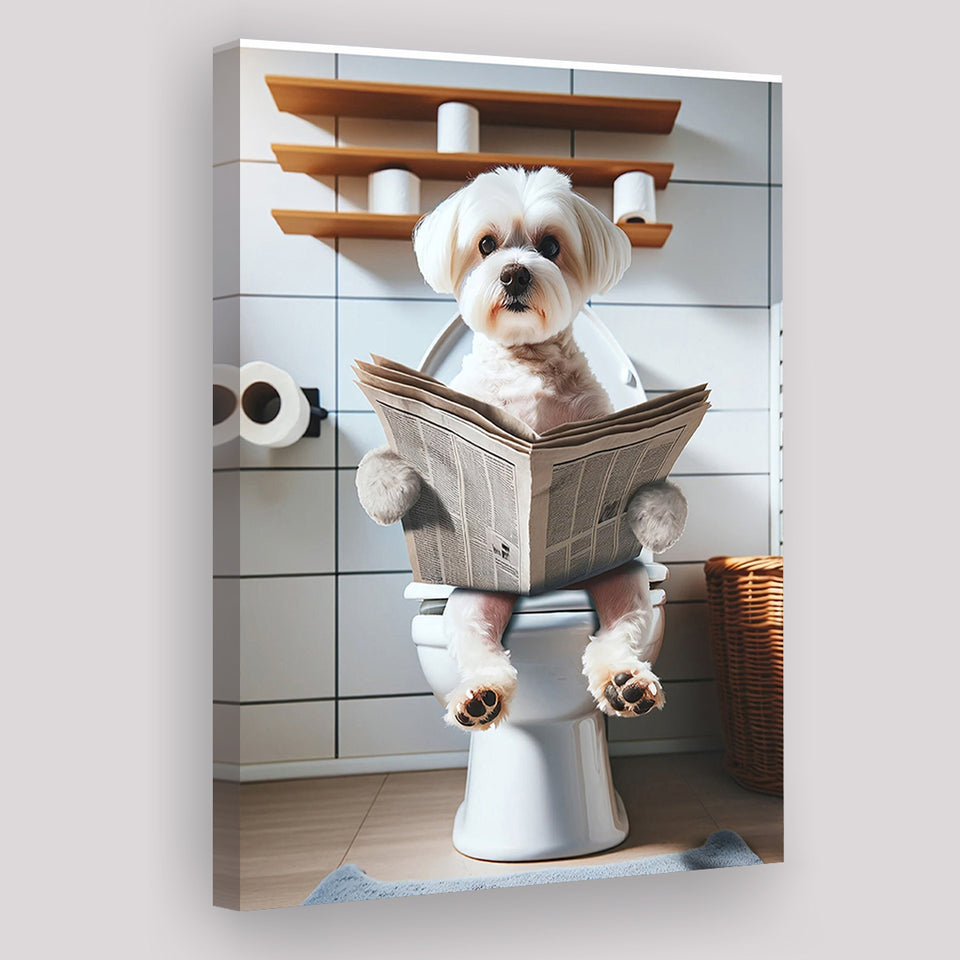 Maltese Terrier Canvas Prints Wall Art, Funny Bathroom Decor, Terrier in Toilet