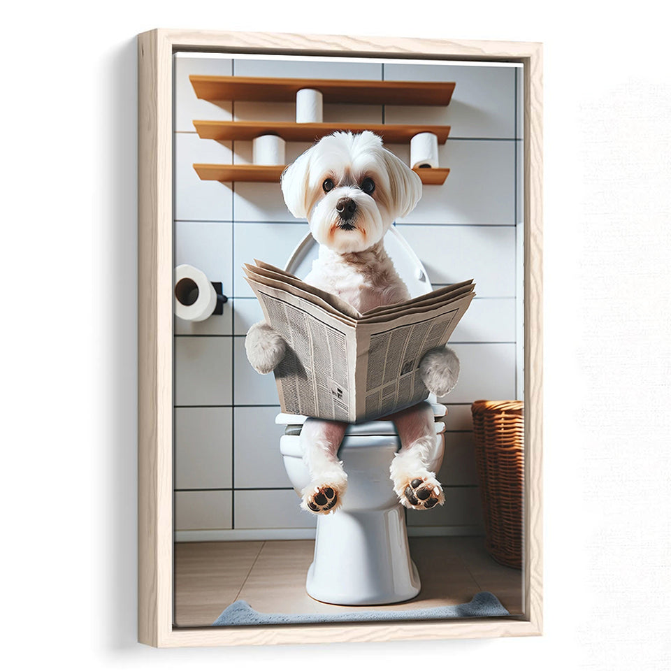 Maltese Terrier Framed Canvas Prints Wall Art, Funny Bathroom Decor, Terrier In Toilet