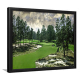 Pinehurst Course Number 2 Golf Courses, Golf Sport Print, Golf Lover, Framed Art Prints Home Decor