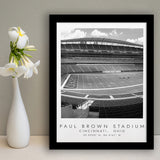 Paul Brown Stadium Cincinnati Bengals, Stadium Print For Football Lovers, Black And White, Framed Art Print Wall Decor