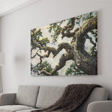 Painting Angle Big Oak Tree Vintage, Canvas Print Wall Art Decor, Landscape Art Print