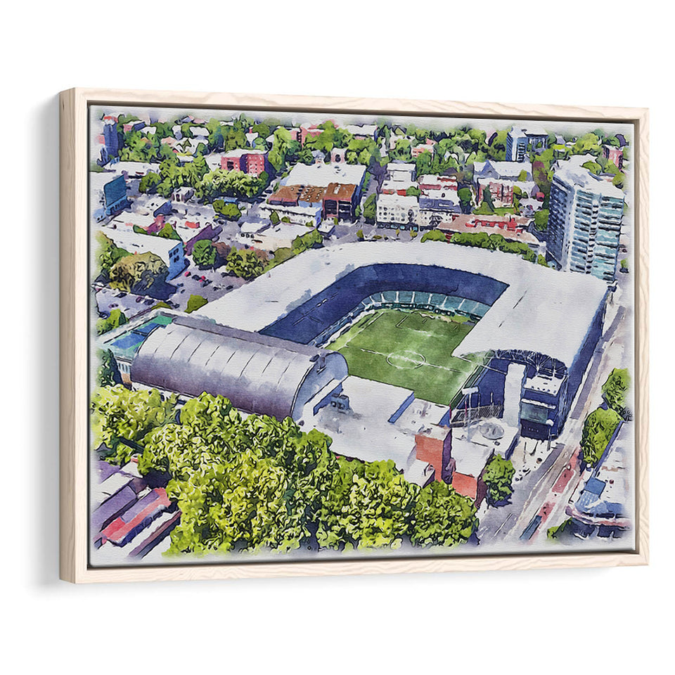 Providence Park Stadium WaterColor Framed Canvas Prints, Portland Oregon Watercolor, Stadium Art Gifts, Floating Frame
