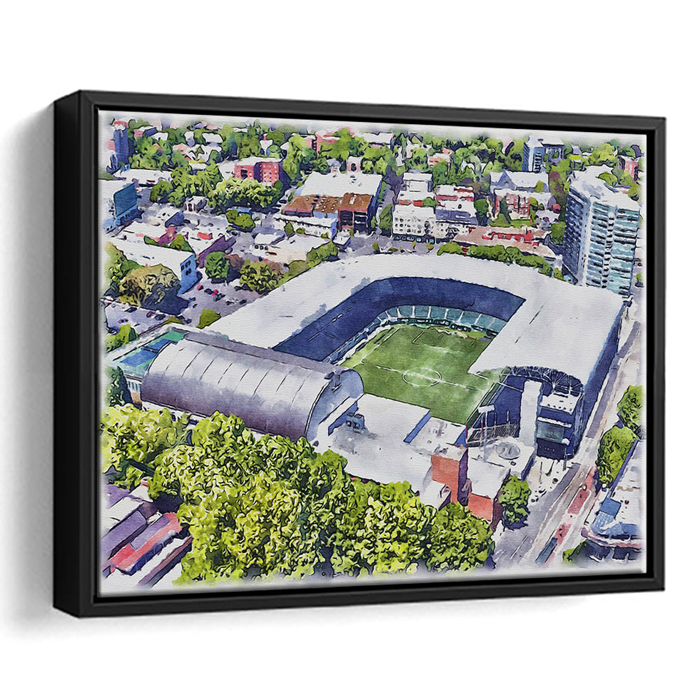 Providence Park Stadium WaterColor Framed Canvas Prints, Portland Oregon Watercolor, Stadium Art Gifts, Floating Frame