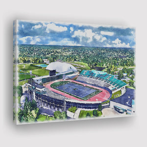 Rynearson Stadium WaterColor Canvas Prints, Ypsilanti Michigan Watercolor, Stadium Art Gifts