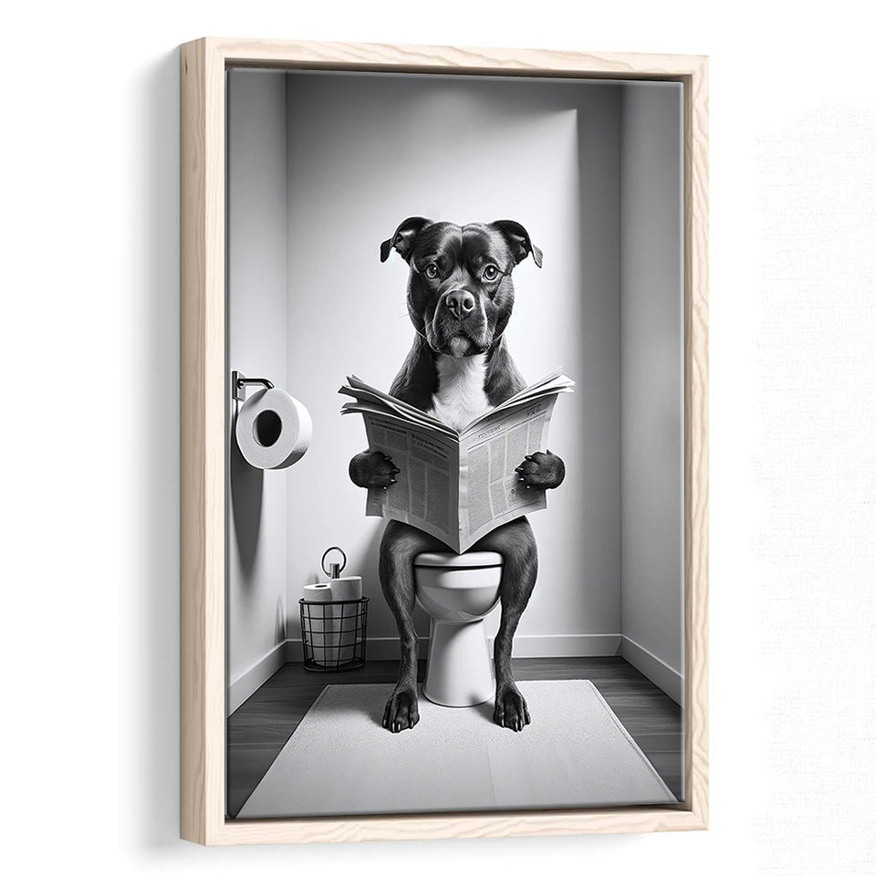 Staffordshire Bull Terrier Framed Canvas Prints Wall Art, Funny Bathroom Decor, Terrier In Toilet