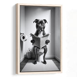 Staffordshire Bull Terrier Framed Canvas Prints Wall Art, Funny Bathroom Decor, Terrier In Toilet