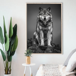 Wolf Portrait Black And White Art, Framed Canvas Prints Wall Art Decor, Floarting Frame Painting Canvas Art