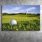 A Golf Course Featuring A Perfect White Golf Ball In The Grassland Canvas Prints Wall Art - Painting Canvas, Art Prints, Wall Decor
