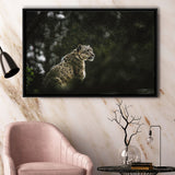 A Snow Leopard Framed Canvas Prints Wall Art - Painting Canvas, Wall Decor, Canvas Art, Floating Frame