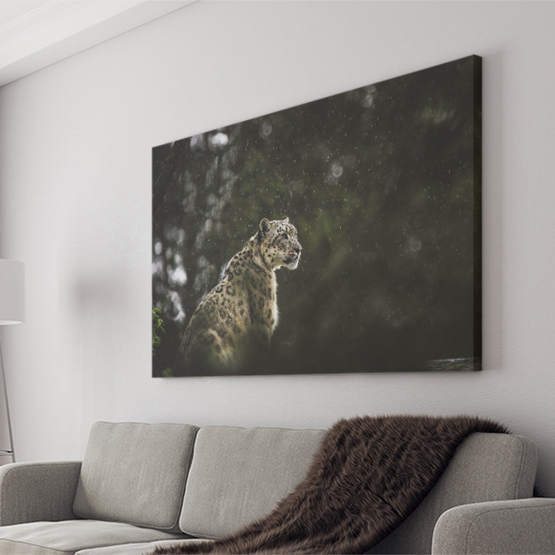 A Snow Leopard Canvas Prints Wall Art - Painting Canvas, Wall Decor, Canvas Art, For Sale