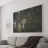 A Snow Leopard Canvas Prints Wall Art - Painting Canvas, Wall Decor, Canvas Art, For Sale