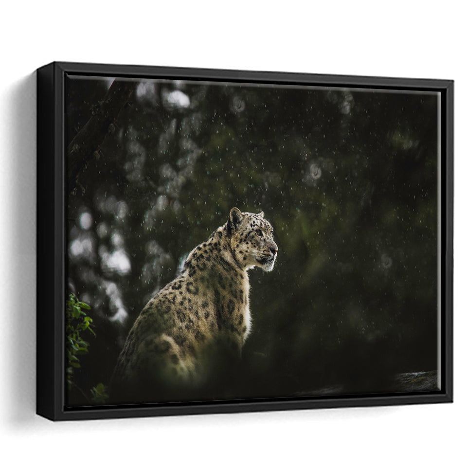 A Snow Leopard Framed Canvas Prints Wall Art - Painting Canvas, Wall Decor, Canvas Art, Floating Frame