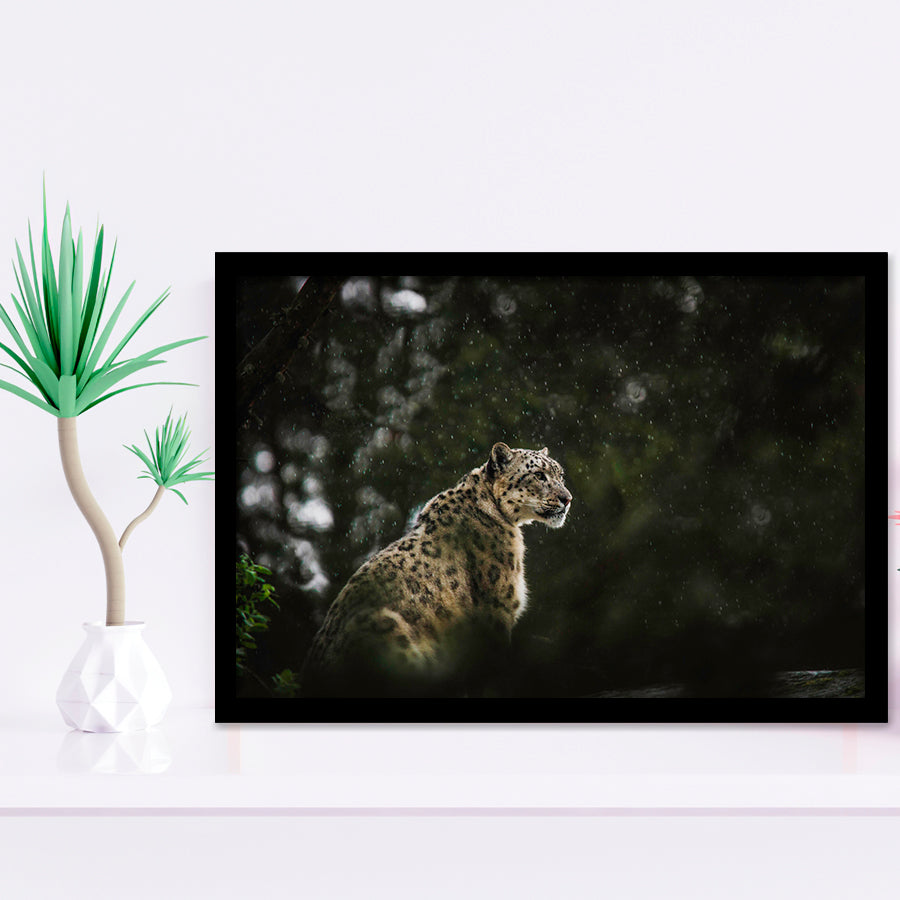 A Snow Leopard Framed Art Prints Wall Decor - Painting Prints, Wall Art, Framed Picture, Black Frame