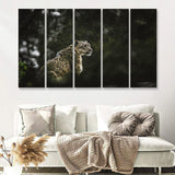 A Snow Leopard 5 Pieces B Canvas Prints Wall Art - Painting Canvas, Multi Panel, Wall Decor, Canvas Art