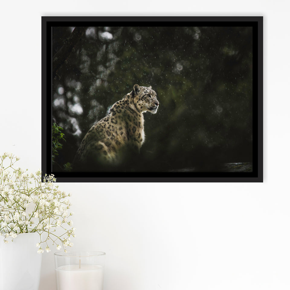 A Snow Leopard Framed Canvas Prints Wall Art - Painting Canvas, Wall Decor, Canvas Art, Floating Frame