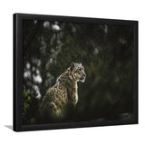 A Snow Leopard Framed Art Prints Wall Decor - Painting Prints, Wall Art, Framed Picture, Black Frame