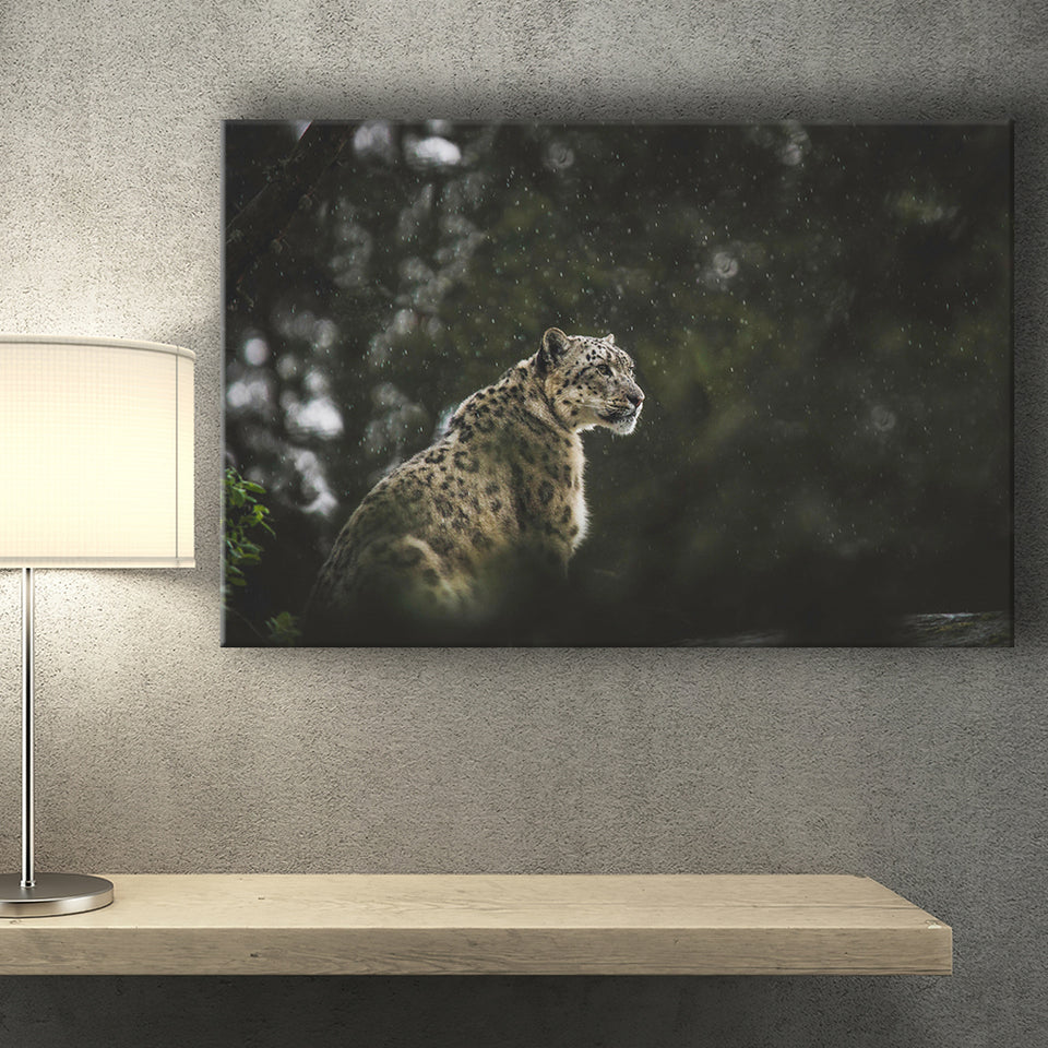 A Snow Leopard Canvas Prints Wall Art - Painting Canvas, Wall Decor, Canvas Art, For Sale