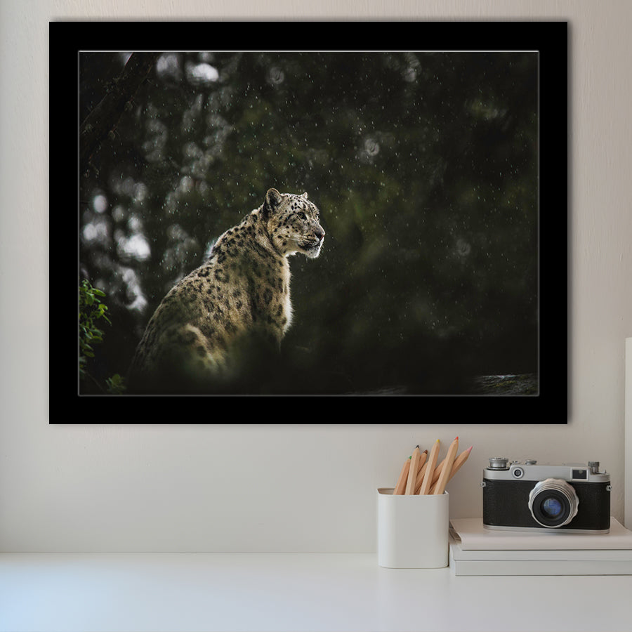 A Snow Leopard Framed Art Prints Wall Decor - Painting Prints, Wall Art, Framed Picture, Black Frame