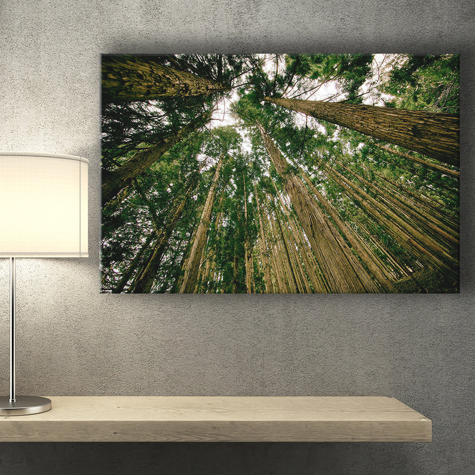 Abstract Forest Print Canvas Prints Wall Art Decor - Painting Canvas,Home Decor, Ready to Hang
