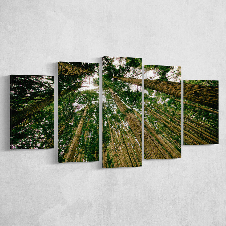 Abstract Forest Print 5 Piece Canvas Prints Wall Art Decor, Multi Panels, Mixed Canvas