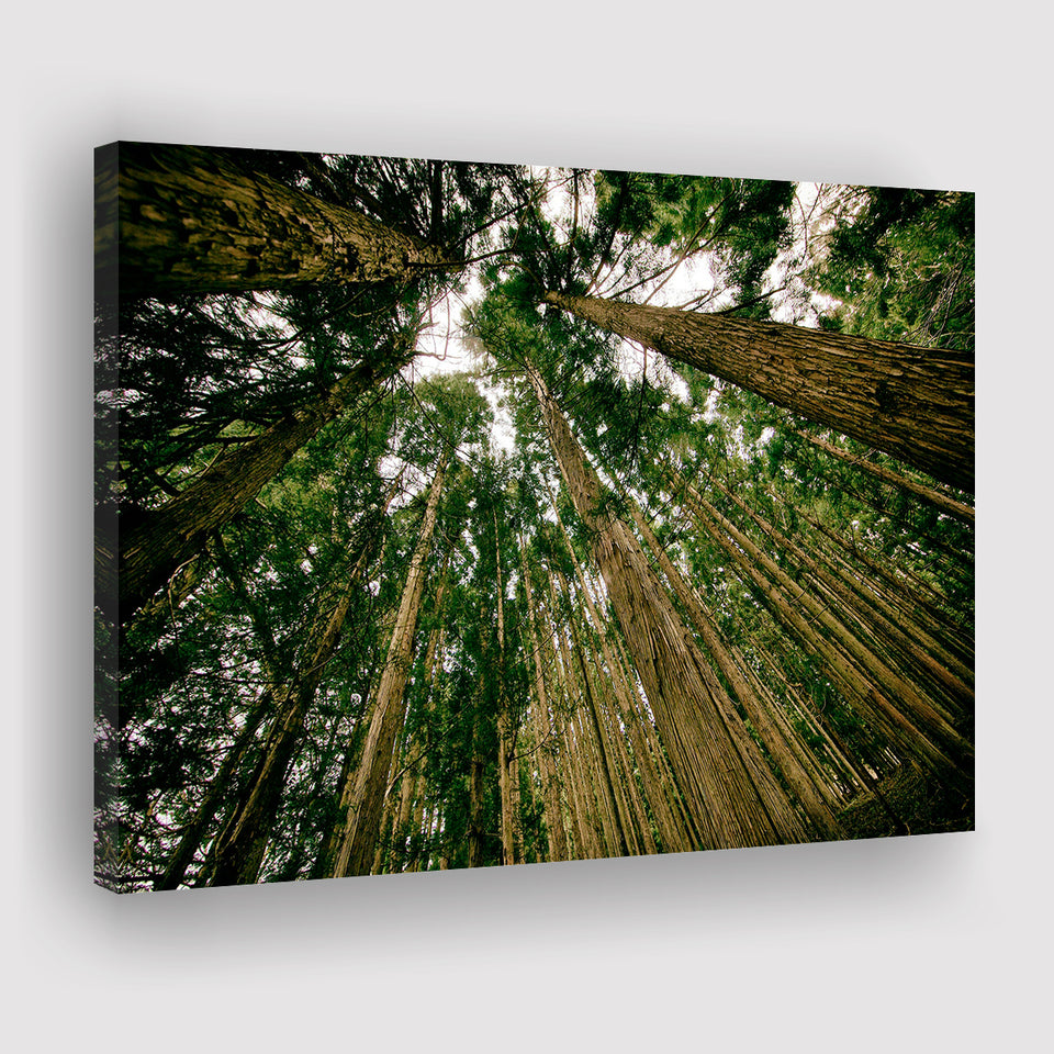 Abstract Forest Print Canvas Prints Wall Art Decor - Painting Canvas,Home Decor, Ready to Hang