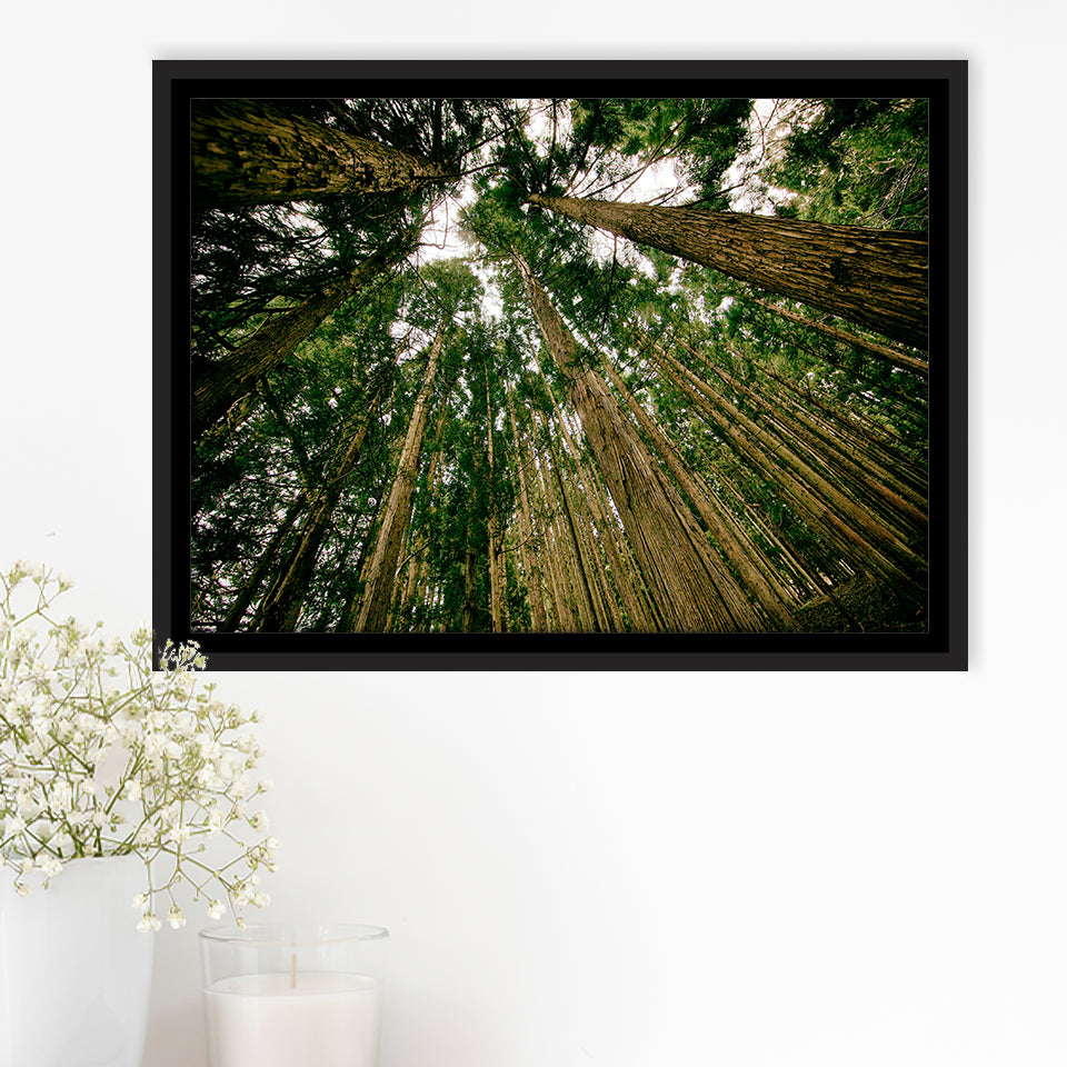 Abstract Forest Print Framed Canvas Prints Wall Art Decor, Framed Picture, Floating Frame