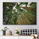 Abstract Forest Print Canvas Prints Wall Art Decor - Painting Canvas,Home Decor, Ready to Hang