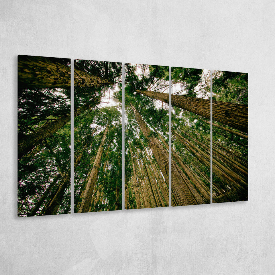 Abstract Forest Print 5 Piece B Canvas Prints Wall Art, Multi Panels,Large Canvas