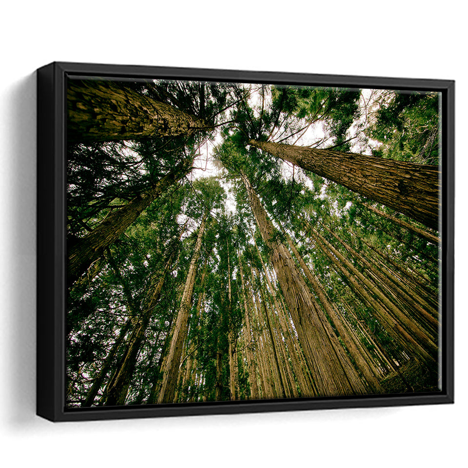 Abstract Forest Print Framed Canvas Prints Wall Art Decor, Framed Picture, Floating Frame