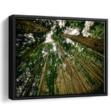 Abstract Forest Print Framed Canvas Prints Wall Art Decor, Framed Picture, Floating Frame